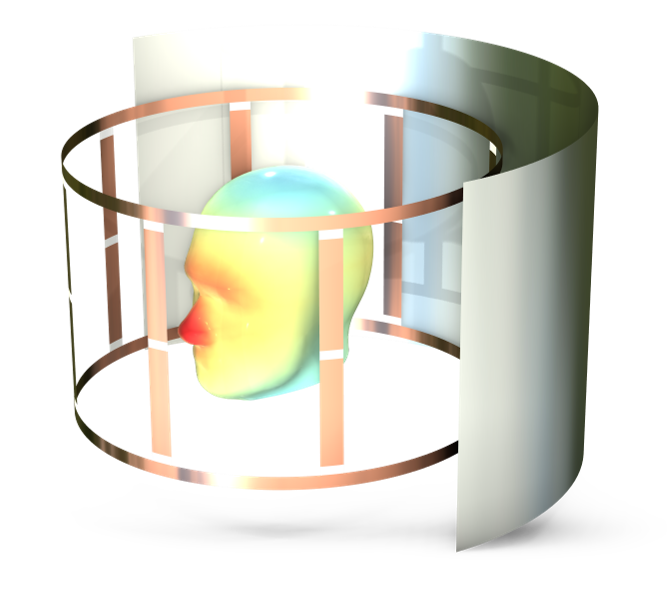 Počítačové simulace v biomedicínském vývoji